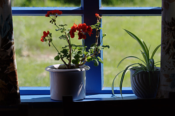 Fenster