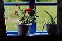 Fenster