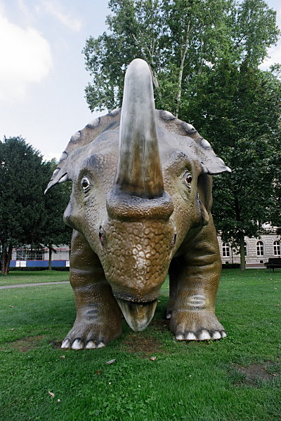 Nochmal Dino