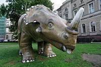 Dino am Naturkundemuseum