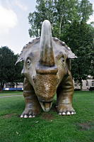 Nochmal Dino