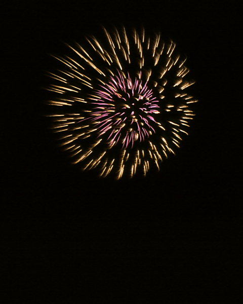 Kurparkfest Waldbronn