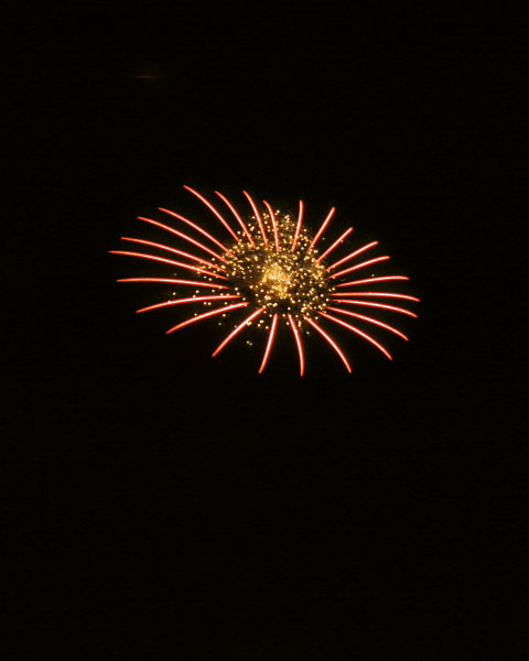 Kurparkfest Waldbronn