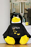 Noch ein Pinguin