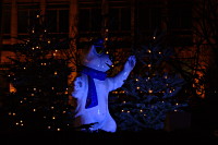 Eisbär