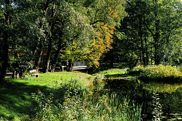Mühlenteich in Laderholz