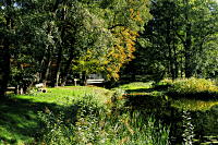 Mühlenteich in Laderholz
