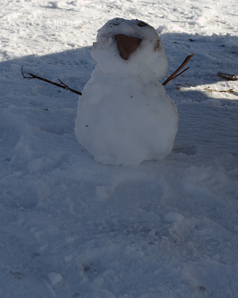 Schneemann
