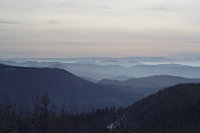 Schwarzwald