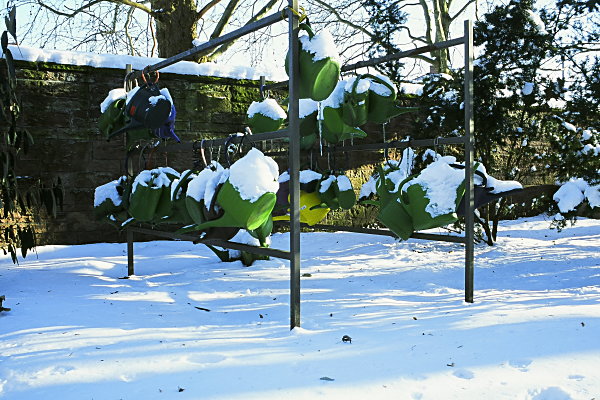 Gießkannen
