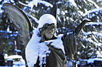 Engel