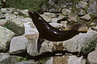 Zoo Karlsruhe