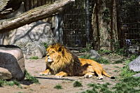 Zoo Karlsruhe
