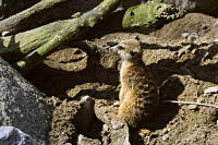 Zoo Karlsruhe
