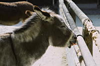 Zoo Karlsruhe