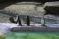 Zoo Karlsruhe