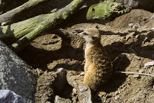 Zoo Karlsruhe
