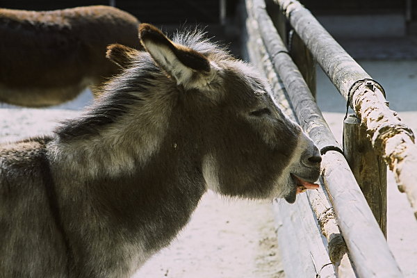 Zoo Karlsruhe