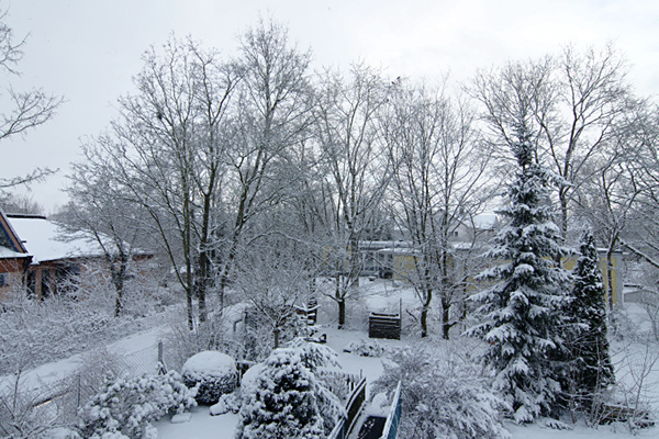 Blick in den Garten