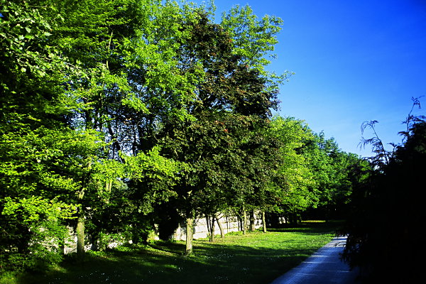 Stumpfstraße