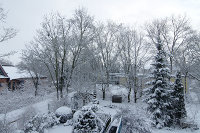 Blick in den Garten