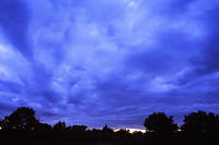 Sommer in Karlsruhe